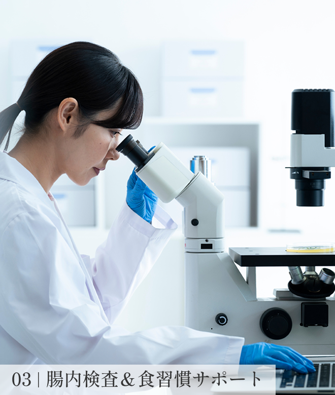 03 腸内検査＆食習慣サポート