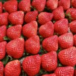 福岡県産あまおう